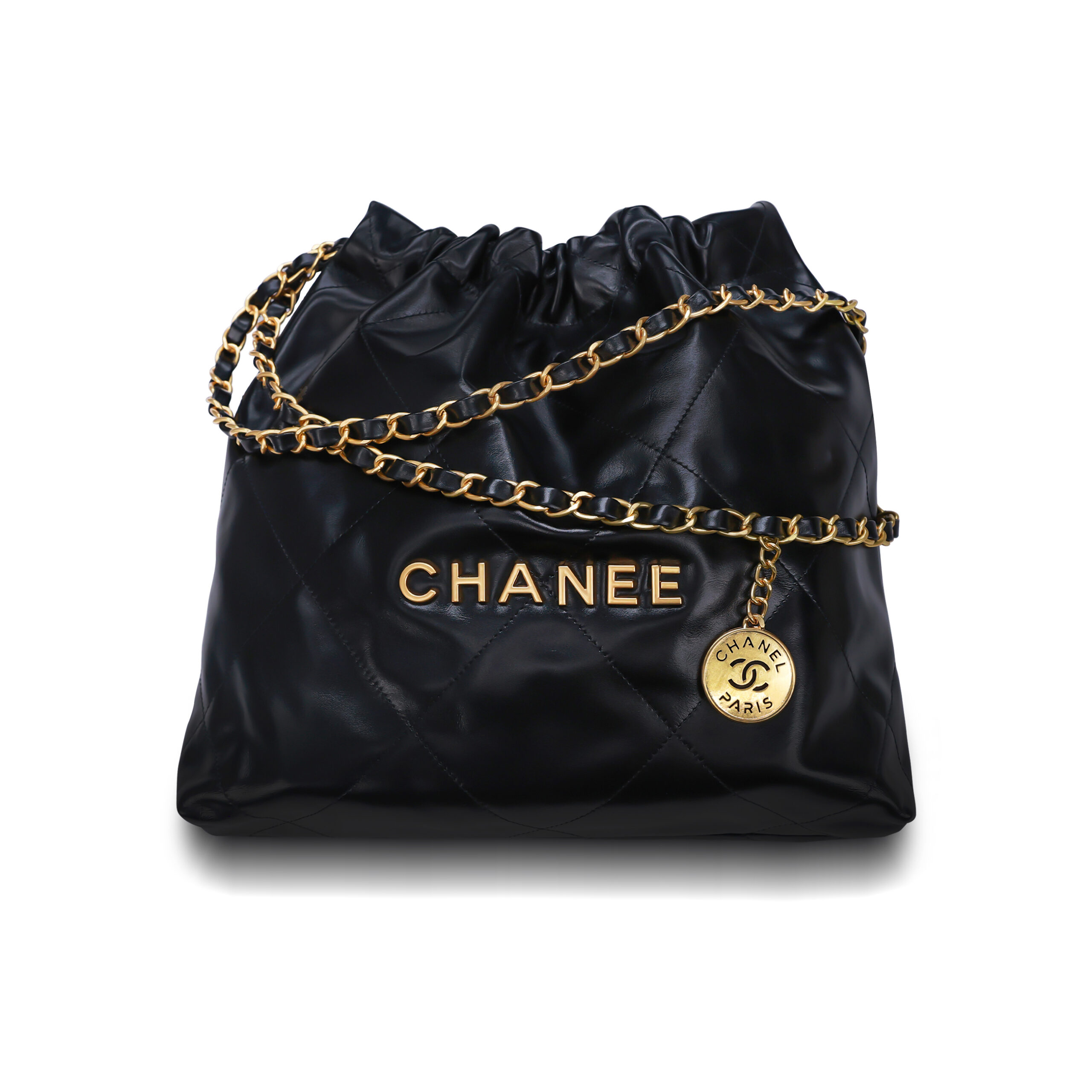 chaneebag-1-10.jpg