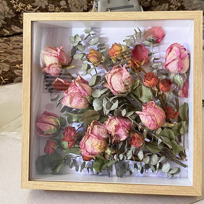 light-specimen-frame-1.png