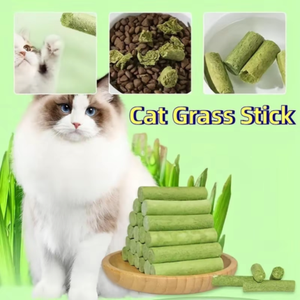 60Pcs Pet Cat Grass Teeth Grinding Stick Pet Snacks Raw Furry Hairball SolutionHealthy Cat Food Biscuits Catnip